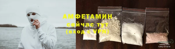 хмурый Осинники