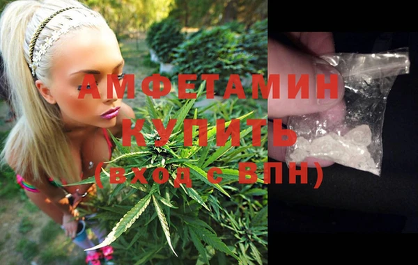 хмурый Осинники