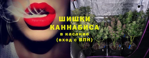 хмурый Осинники